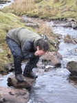 SX13294 Wouko washing in Nant Hepste-fechan river in the morning.jpg